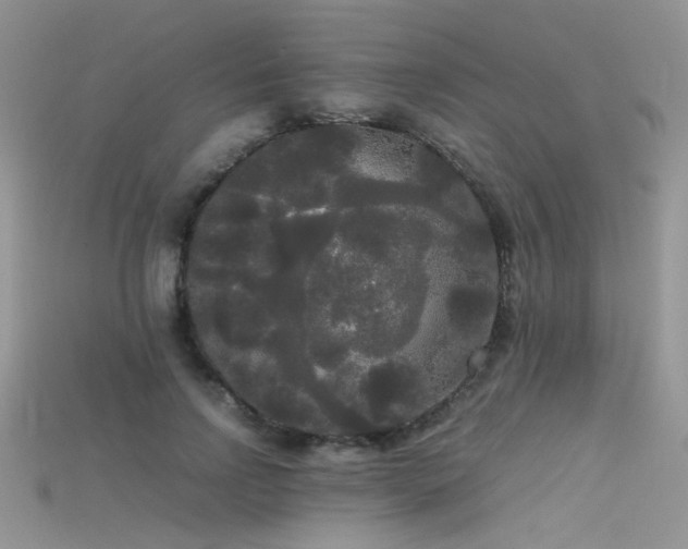 X0000115700742200911121404