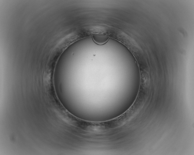 X0000115700745200911121404
