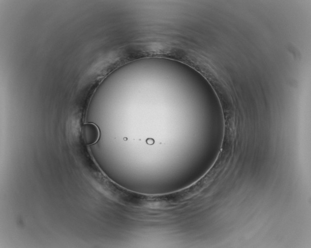 X0000115700746200911121404