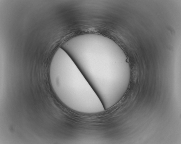 X0000115700747200911121404