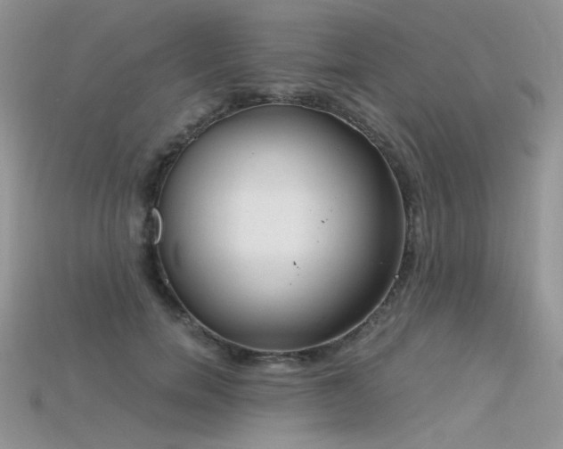 X0000115700750200911121404