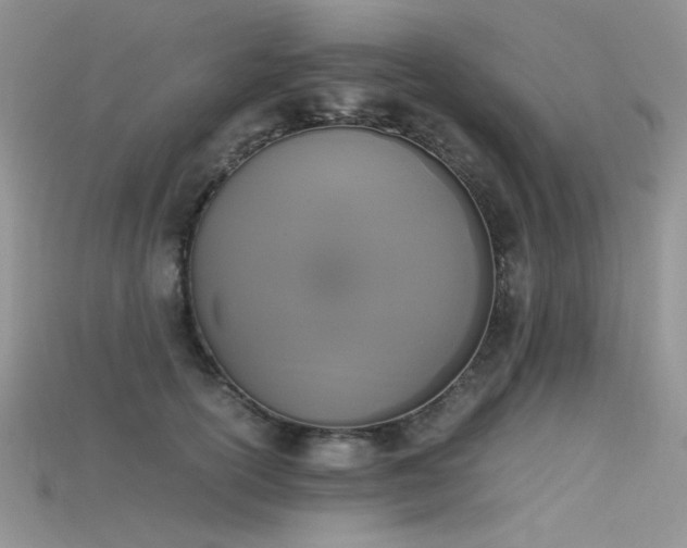 X0000115700754200911121404