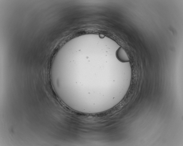 X0000115700755200911121404