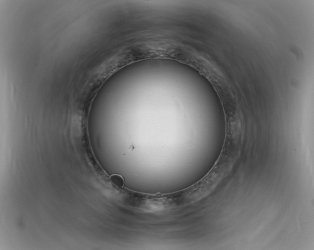 X0000115700757200911121404
