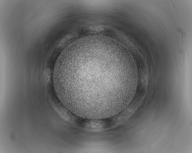 X0000115700758200911121404