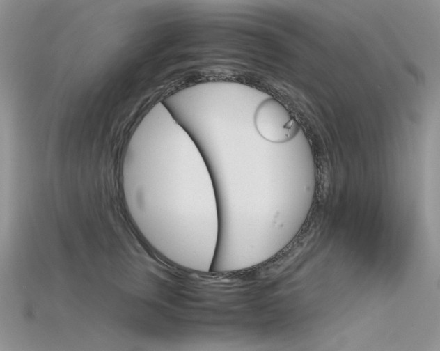 X0000115700759200911121404