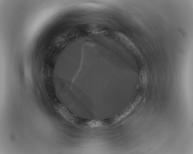 X0000115700762200911121404