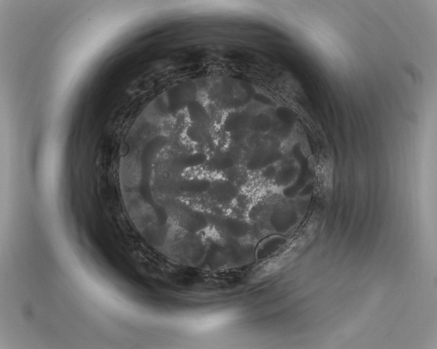 X0000115700765200911121404