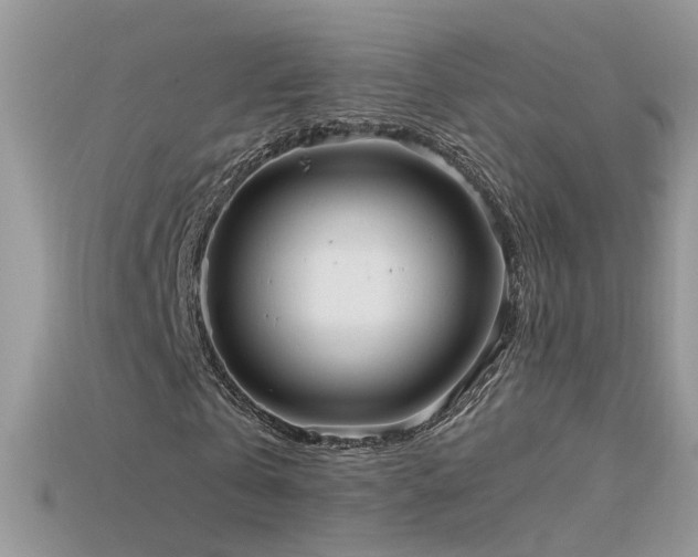 X0000115700769200911121404