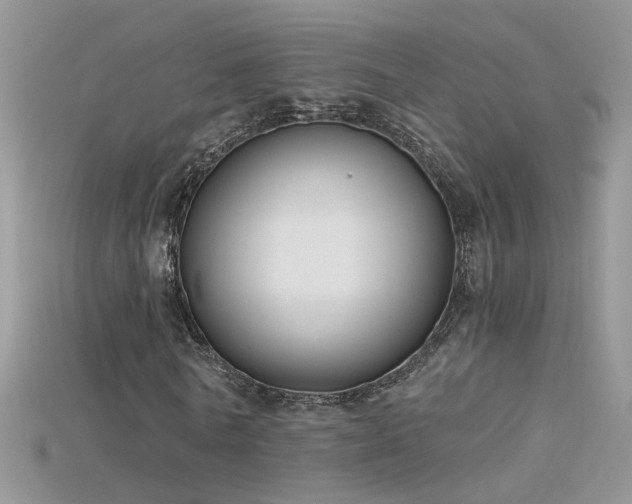 X0000115700770200911121404