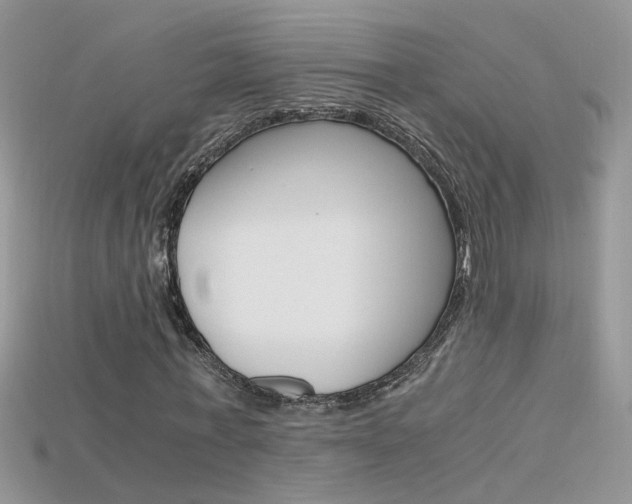 X0000115700771200911121404