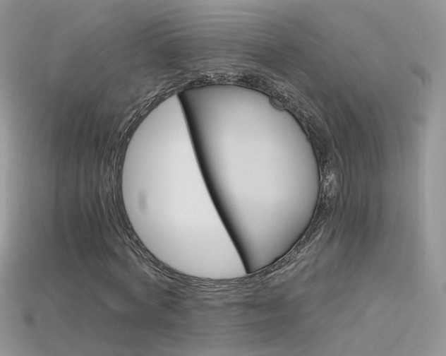 X0000115700772200911121404