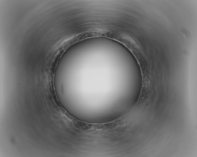 X0000115700773200911121404