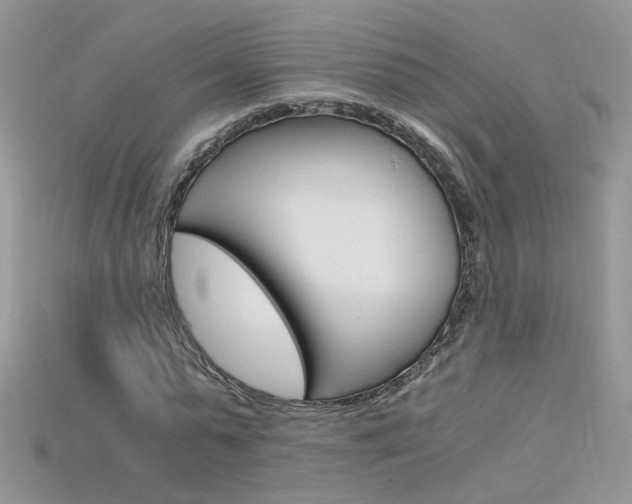 X0000115700775200911121404