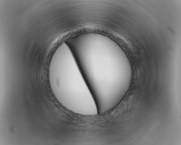 X0000115700776200911121404