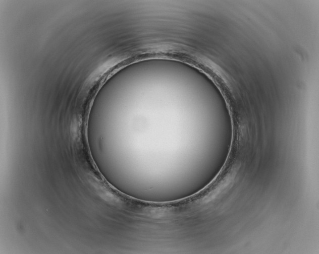 X0000115700778200911121404
