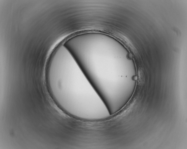 X0000115700780200911121404