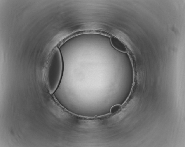 X0000115700781200911121404