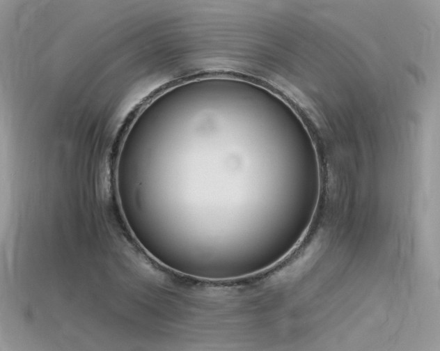 X0000115700782200911121404