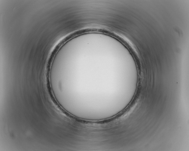 X0000115700783200911121404