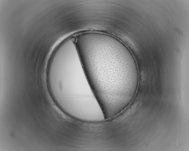 X0000115700784200911121404