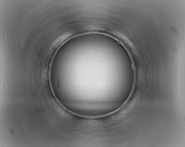X0000115700785200911121404