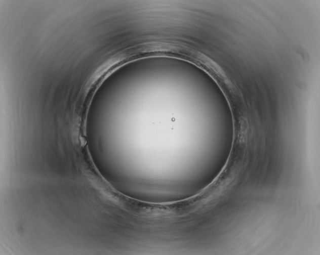 X0000115700786200911121404