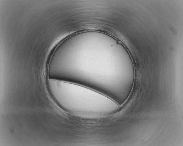 X0000115700787200911121404