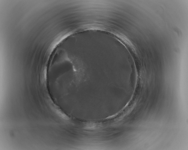 X0000115700790200911121404