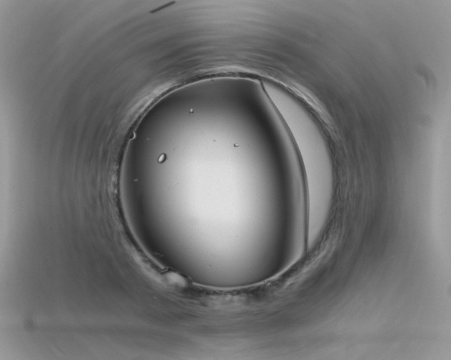 X0000115700793200911121403