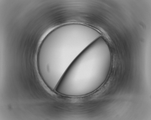 X0000115700796200911121403