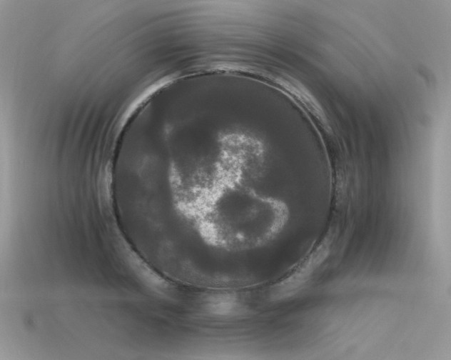 X0000115700798200911121403