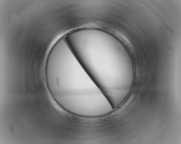 X0000115700800200911121403