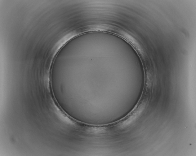 X0000115700802200911121403