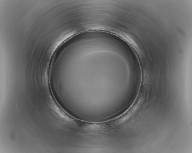 X0000115700806200911121403