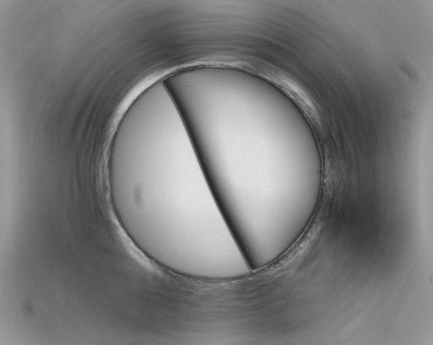X0000115700808200911121403