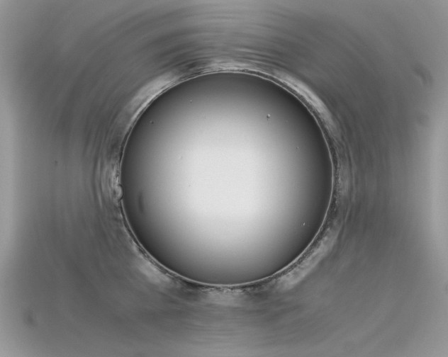 X0000115700809200911121403