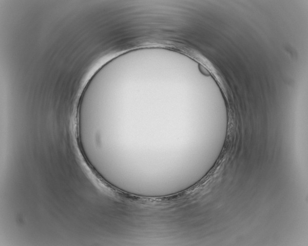 X0000115700811200911121403