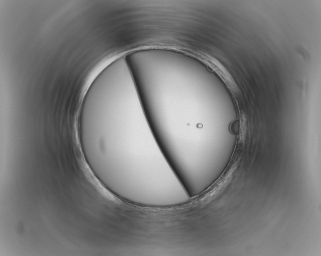 X0000115700812200911121403