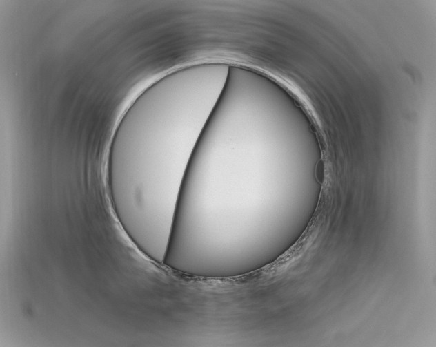 X0000115700815200911121403