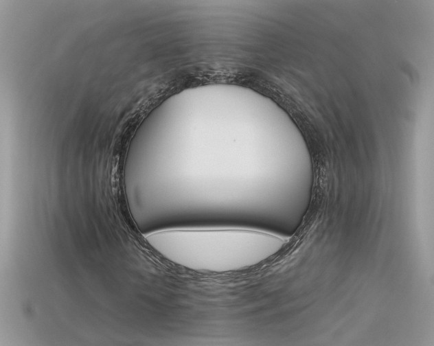 X0000115700818200911121402