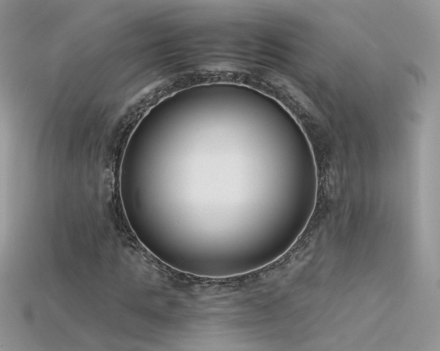 X0000115700821200911121403