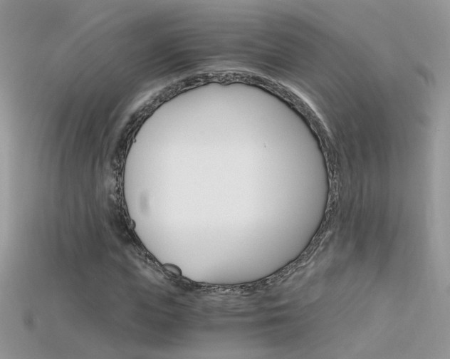 X0000115700823200911121403