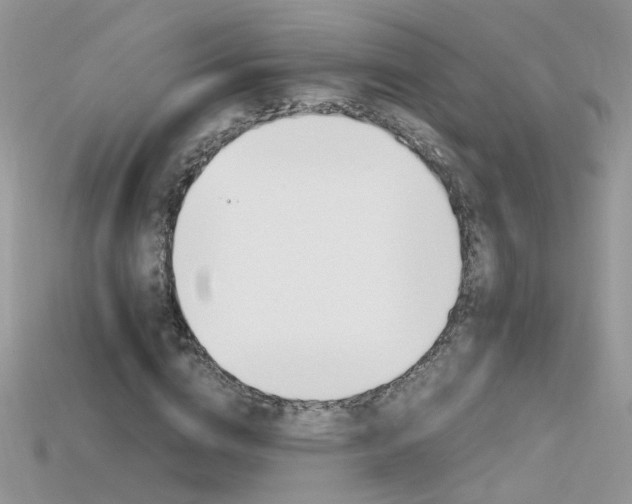 X0000115700824200911121403