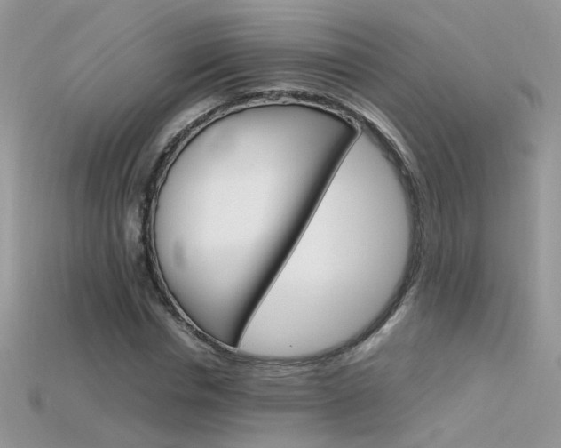 X0000115700826200911121403