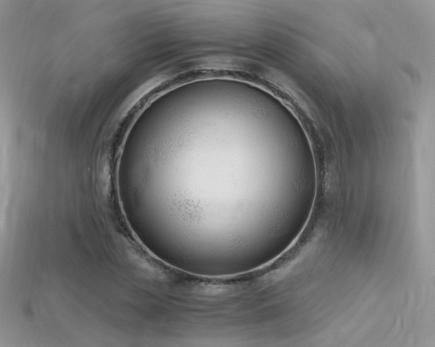 X0000115700829200911121403
