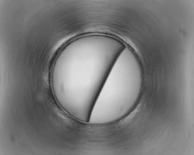 X0000115700830200911121403