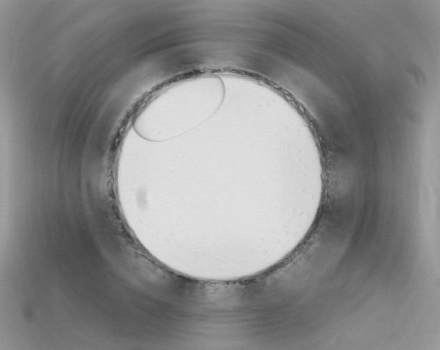 X0000115700832200911121403
