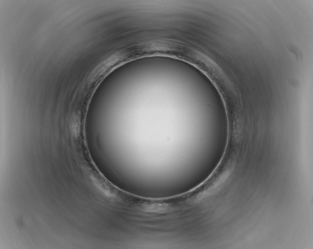 X0000115700833200911121403