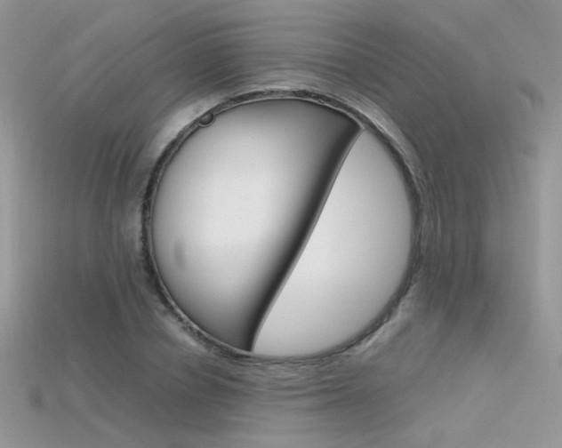 X0000115700834200911121403